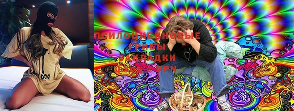 дмт Алзамай